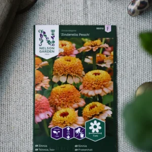Zinnia Zinderella Peach