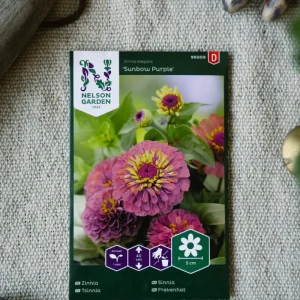 Zinnia Sunbow Purple