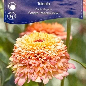 Zinnia Cresto Pechy Pink