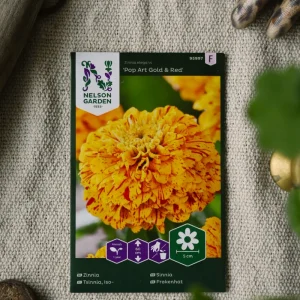 Zinnia Pop Art Gold & Red